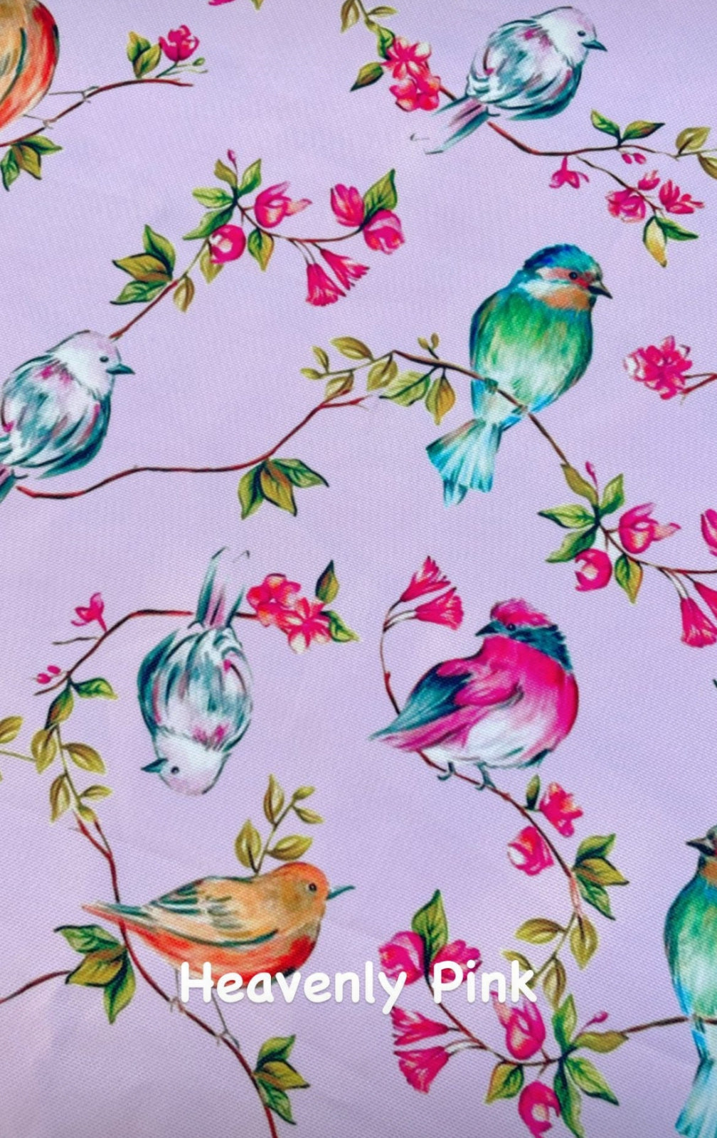 Heavenly Pink Fabric