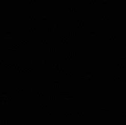 Black Velvet Fabric