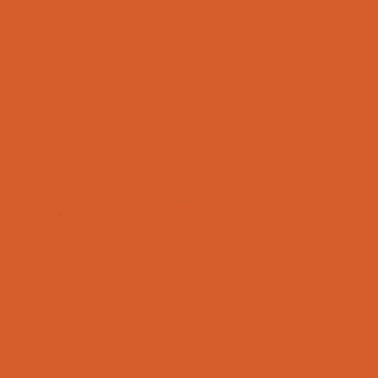 Burnt Orange Velvet Fabric