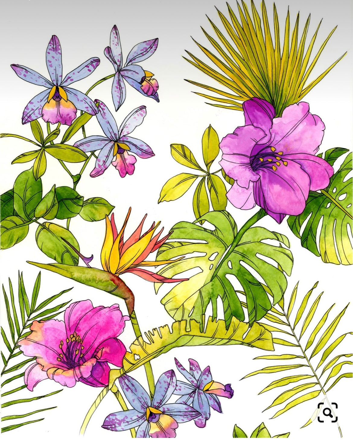 Orchid Fabric